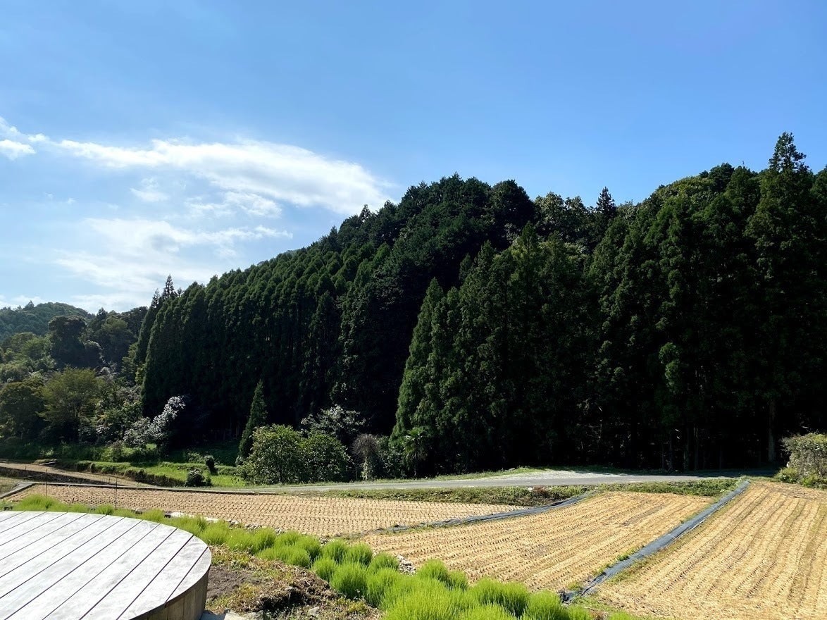 4番目のメイン画像