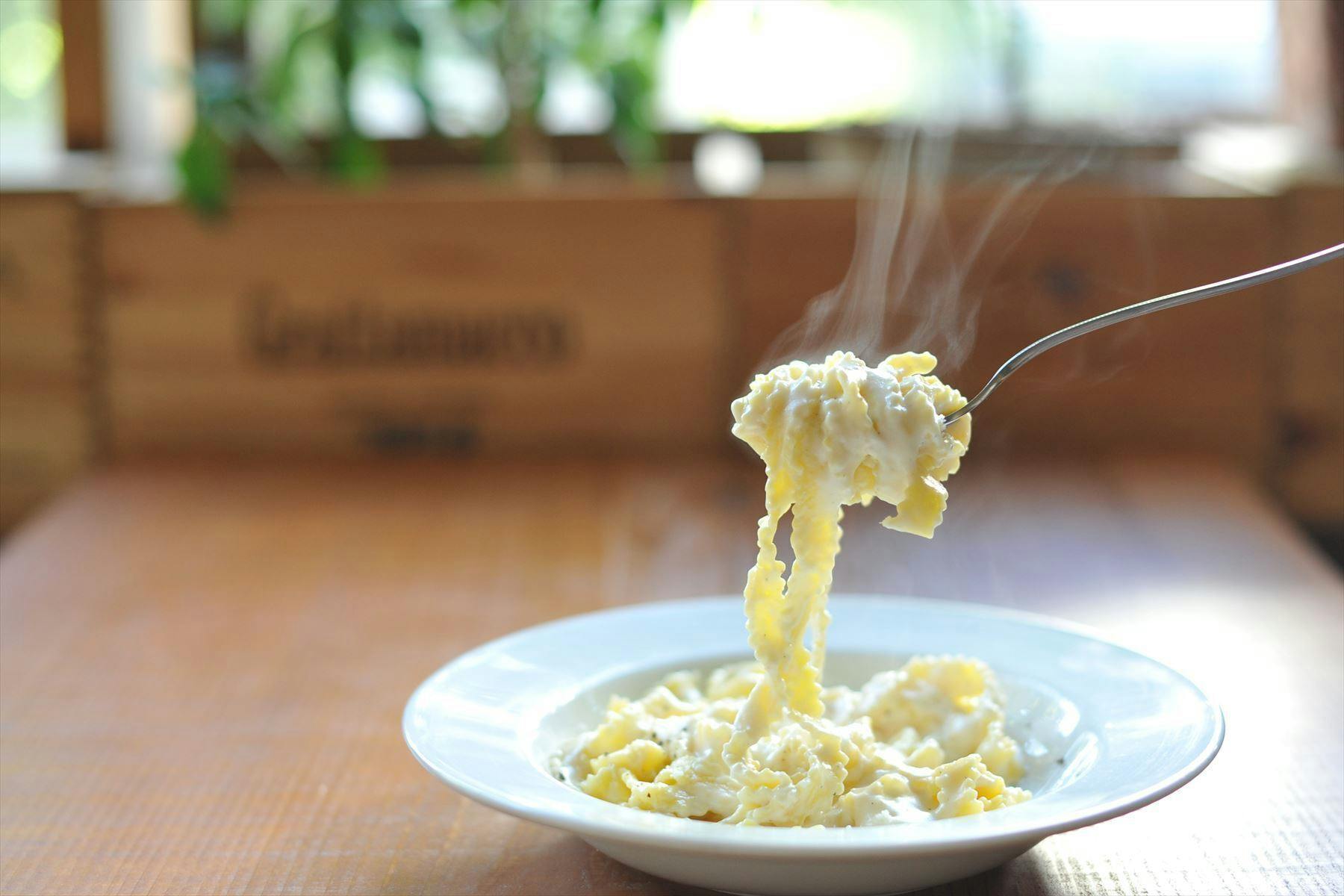 イタリアのパスタの本当の美味しさを伝えたい レストランとネット販売プロジェクト Campfire キャンプファイヤー イタリアのパスタの本当の美味しさを伝えたい レストランとネット販売プロジェクト Campfire キャンプファイヤー