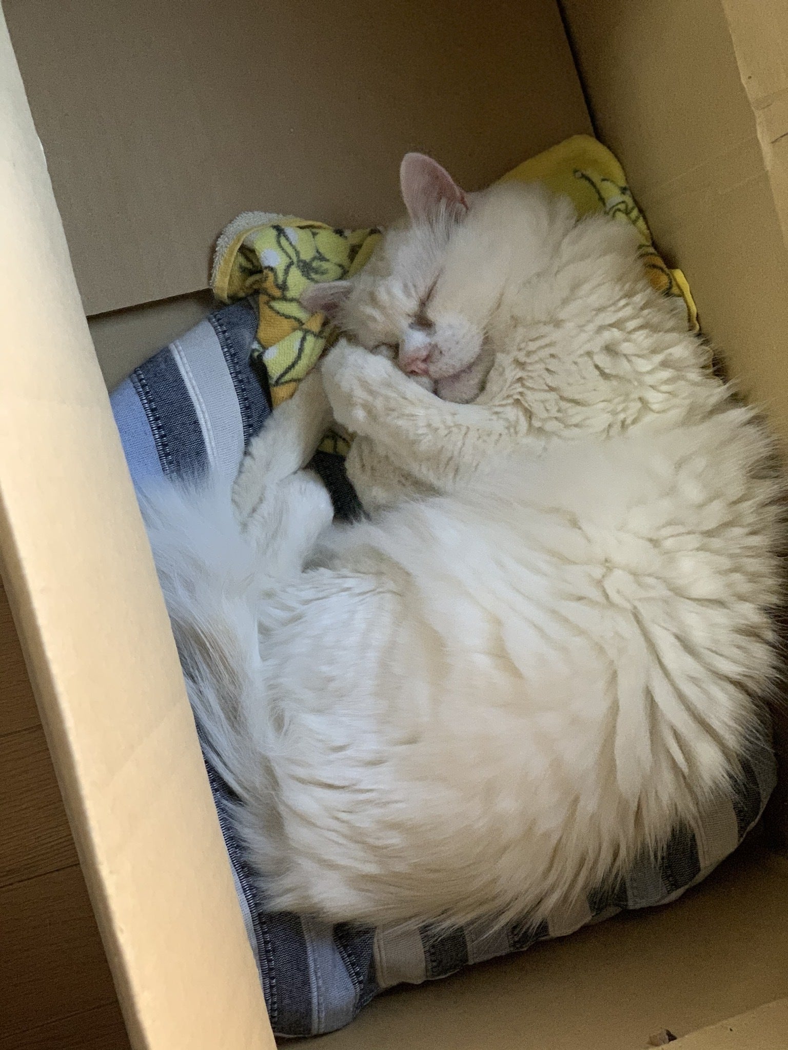 4番目のメイン画像