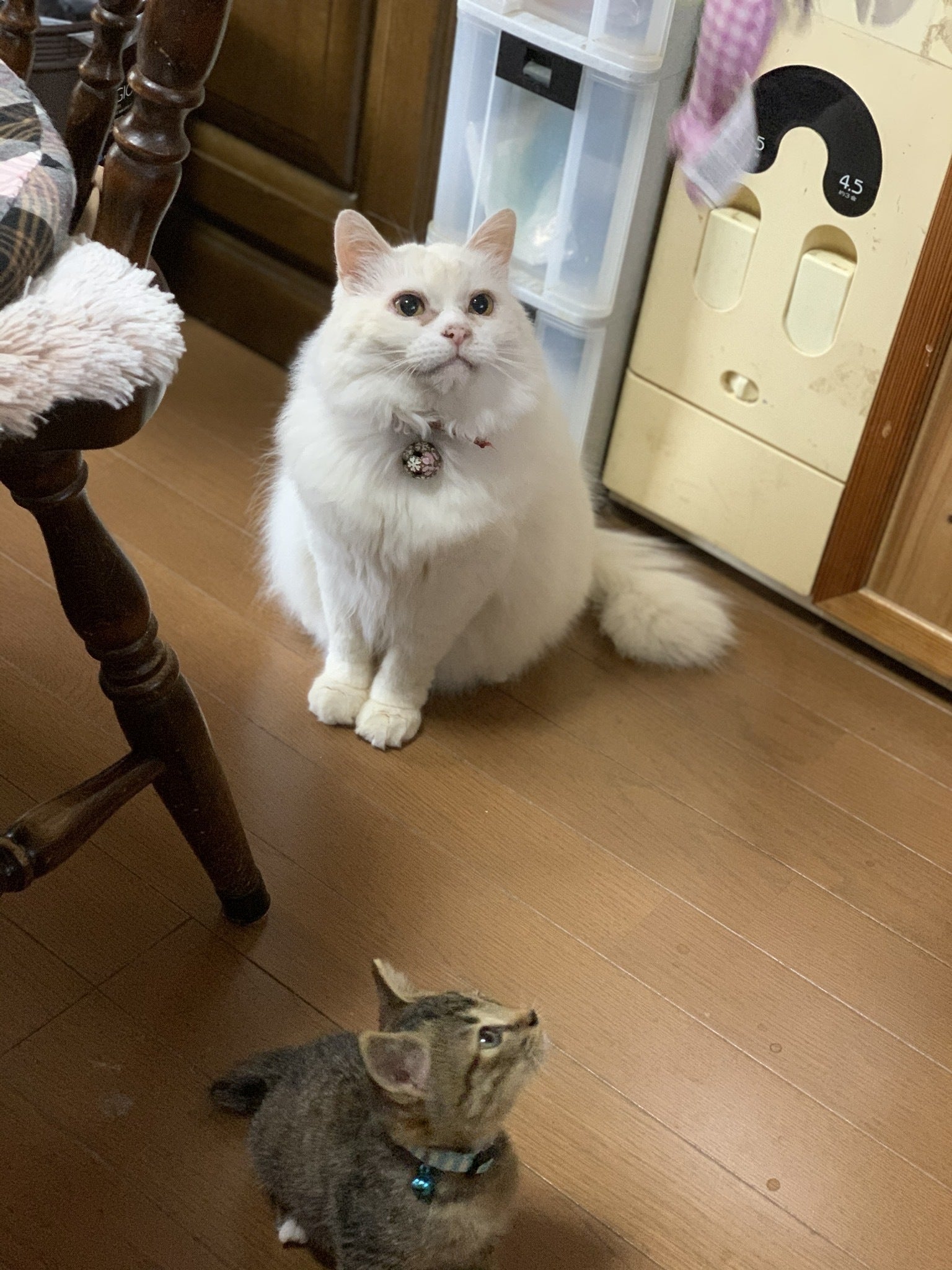 5番目のメイン画像