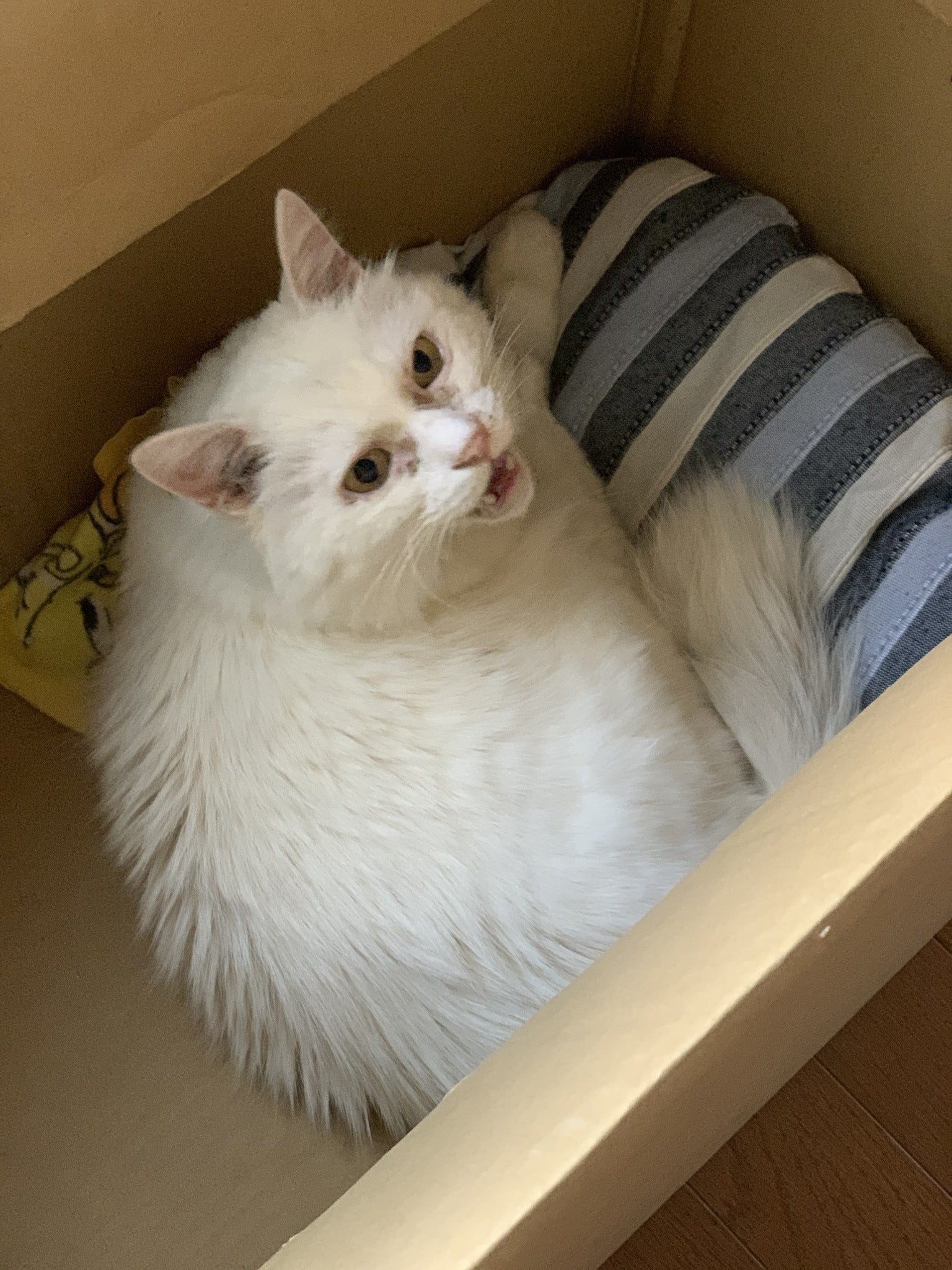 2番目のメイン画像