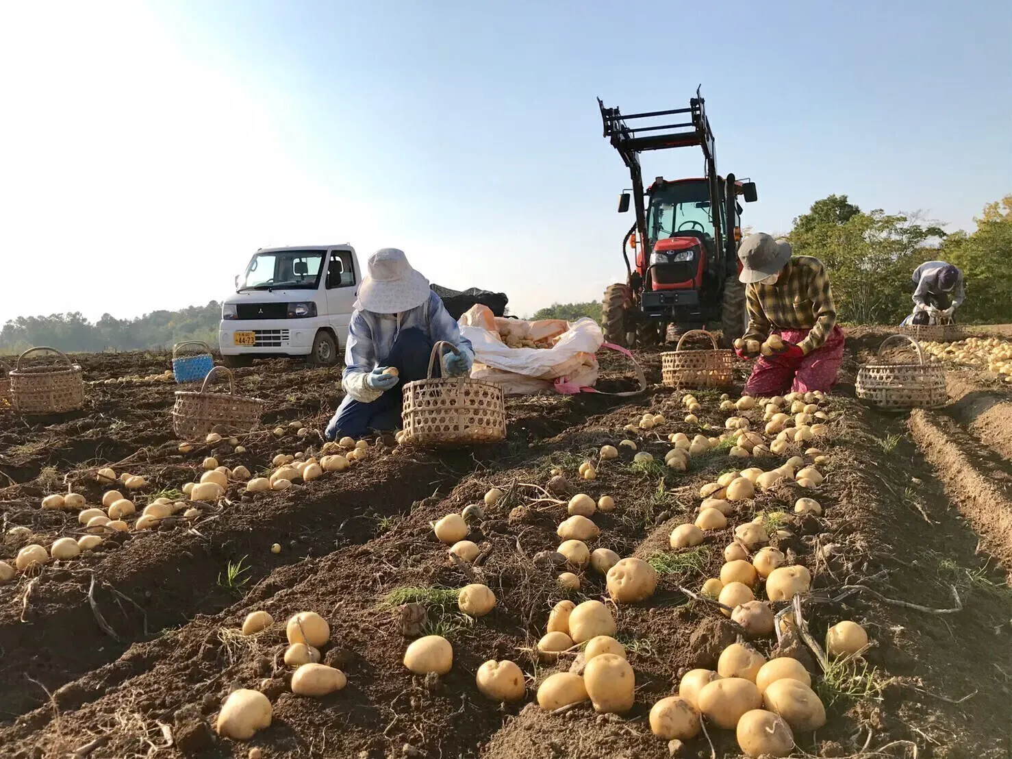 5番目のメイン画像