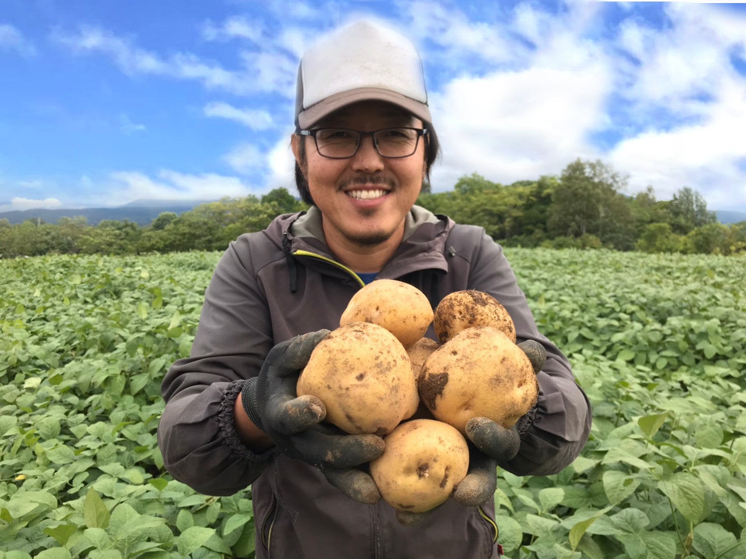 1トン廃棄危機！】北海道ニセコの特産品！北の大地の黄金じゃがいも