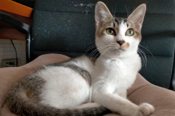 1番目のメイン画像