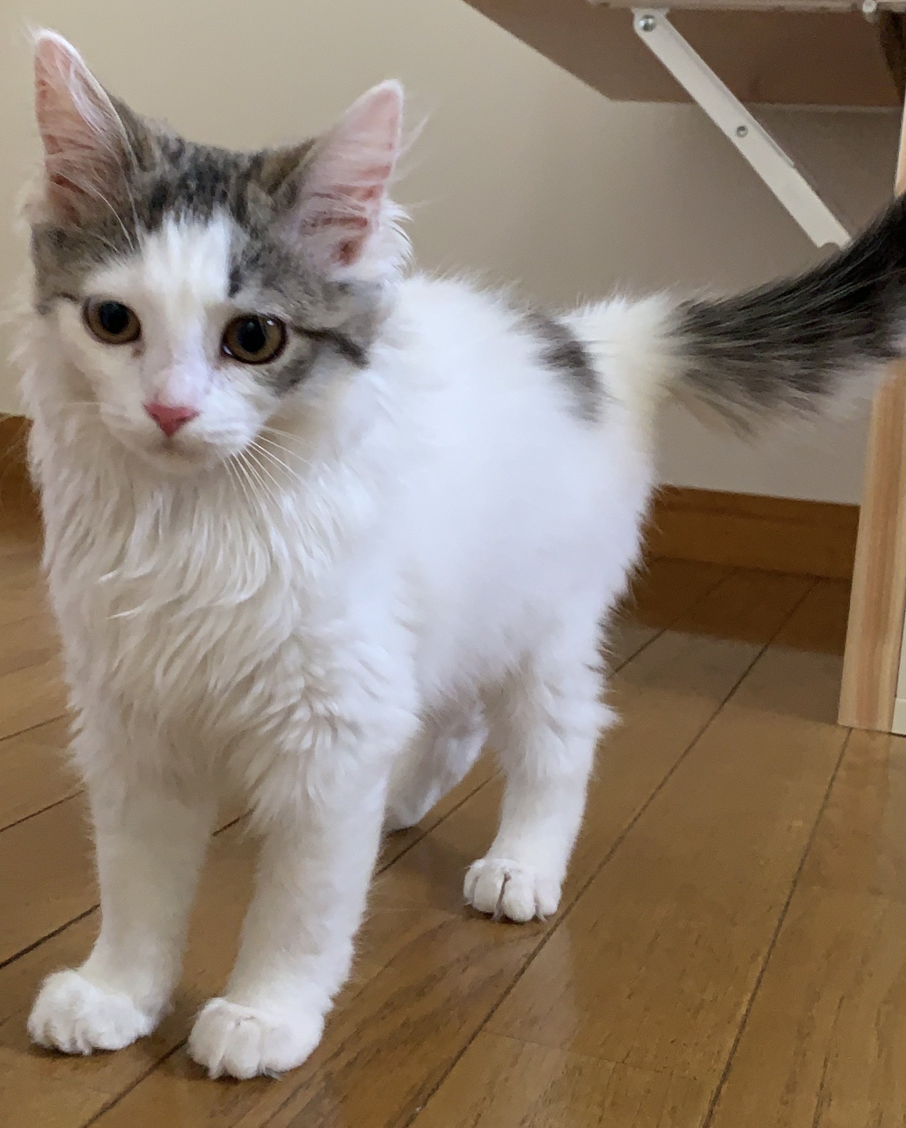 3番目のメイン画像