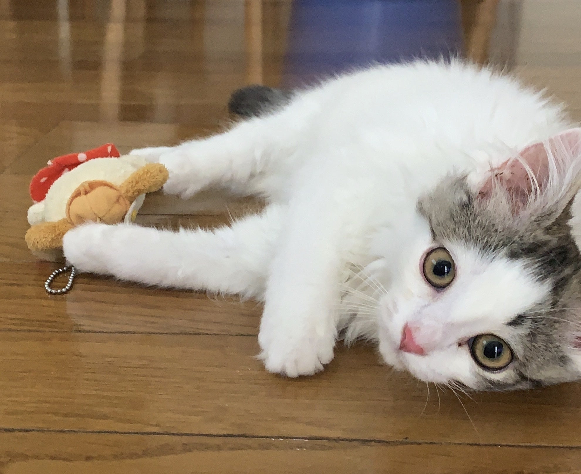 2番目のメイン画像