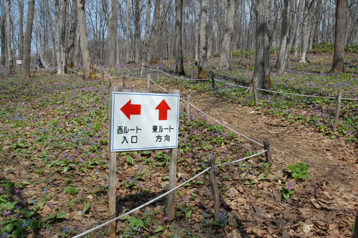 21年春 旭川の酒蔵 男山 が所有する自然公園を開園したい Campfire キャンプファイヤー 21年春 旭川の酒蔵 男山 が所有する自然公園を開園したい Campfire キャンプファイヤー