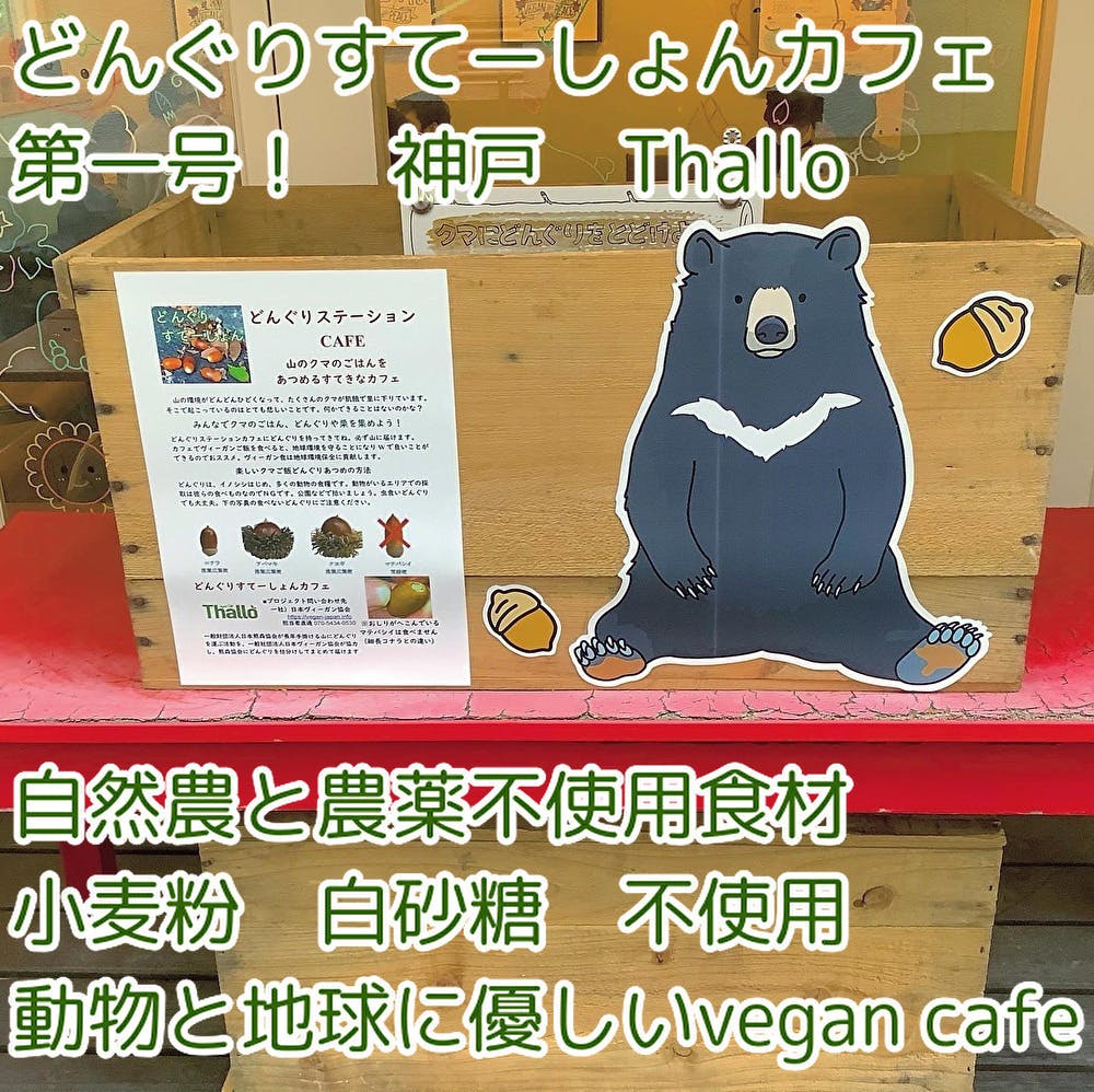 飢餓クマ捕殺回避どんぐりすてーしょんを支えて Campfire キャンプファイヤー 飢餓クマ捕殺回避どんぐりすてーしょんを支えて Campfire キャンプファイヤー