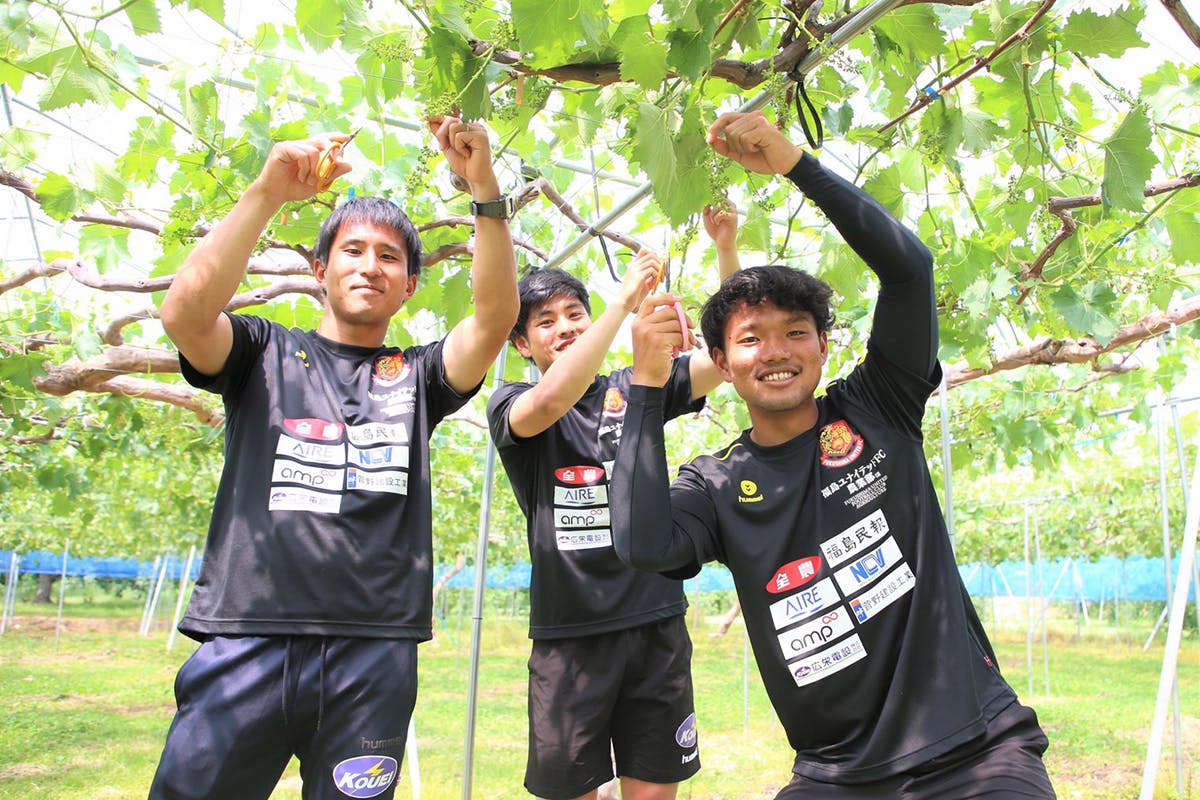 2014年湘南ベルマーレJ2優勝記念Tシャツ Lサイズ ドイツ代表が24年