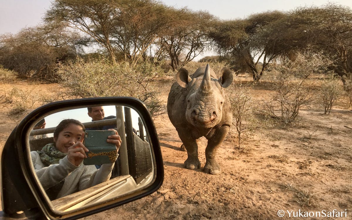 クロサイとシロサイの違いとは Campfire キャンプファイヤー クロサイとシロサイの違いとは Campfire キャンプファイヤー