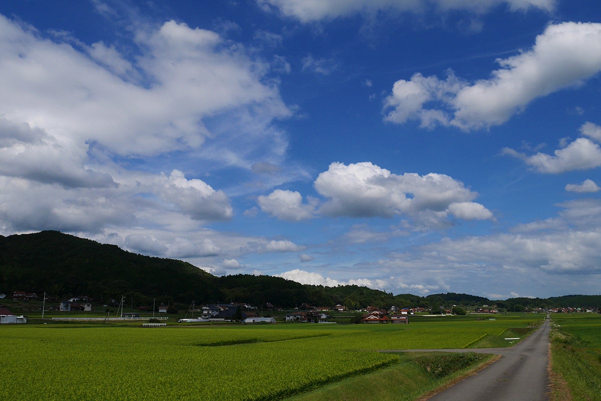 4番目のメイン画像