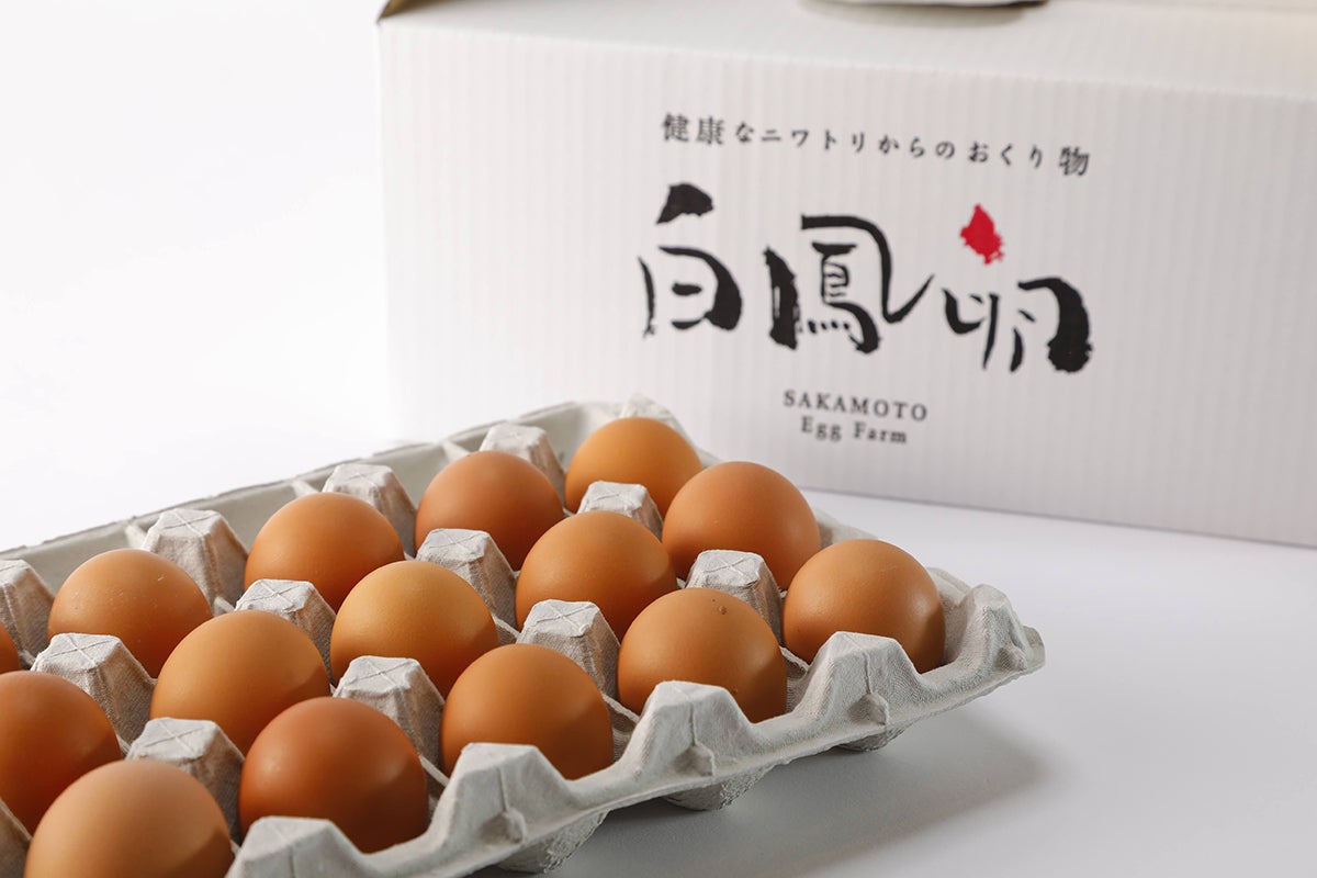近隣で鳥インフルエンザが発生。毎日1万個産まれる絶品卵を廃棄せず