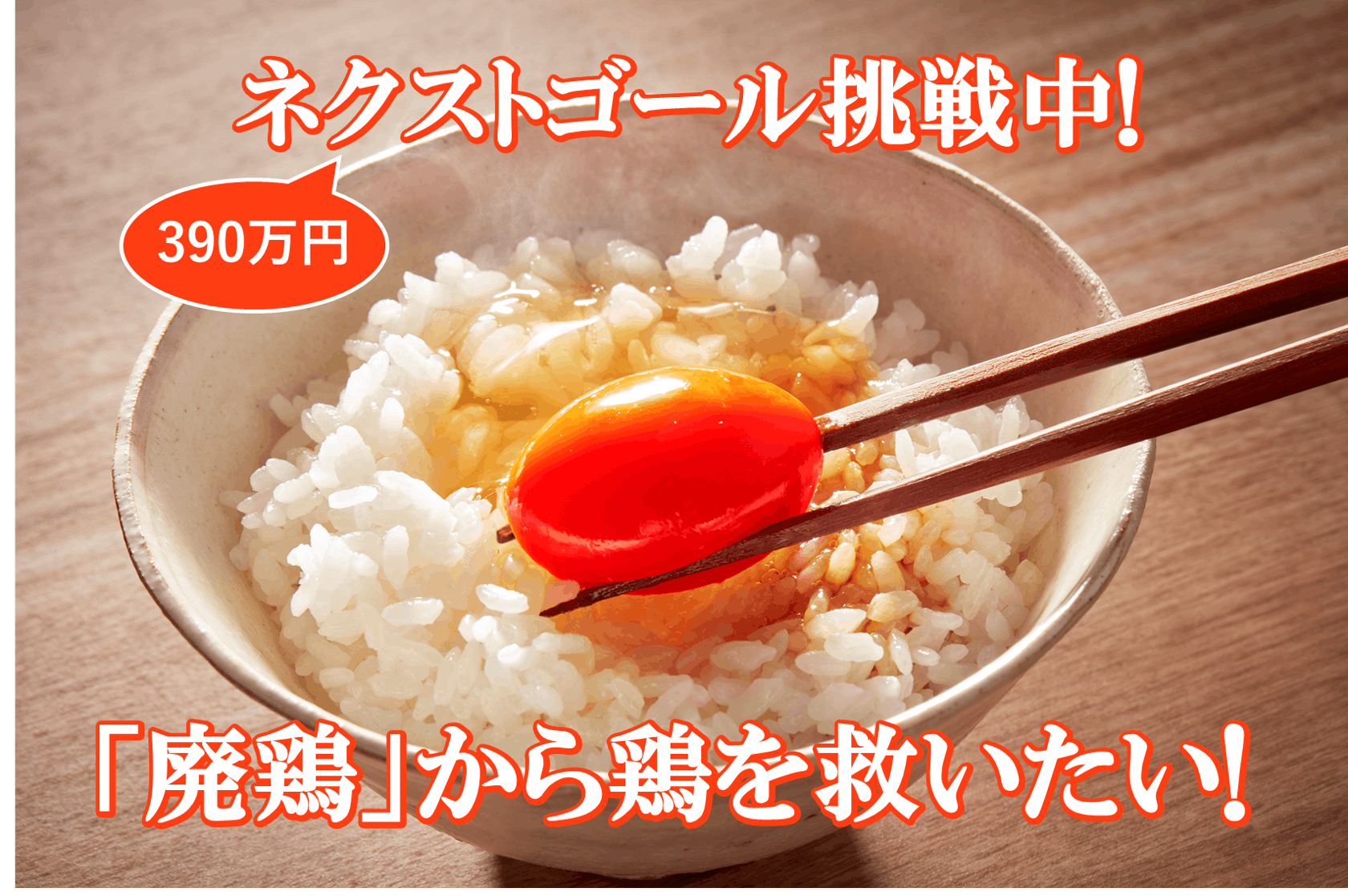 コロナ禍「廃鶏」から鶏を救え！命をふたたび輝かせる！そして最高に