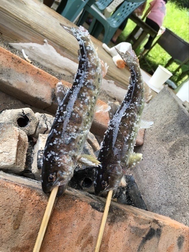 豪雨災害をうけた清流万江川にヤマメを再生するプロジェクト Campfire キャンプファイヤー 豪雨災害をうけた清流万江川にヤマメを再生するプロジェクト Campfire キャンプファイヤー