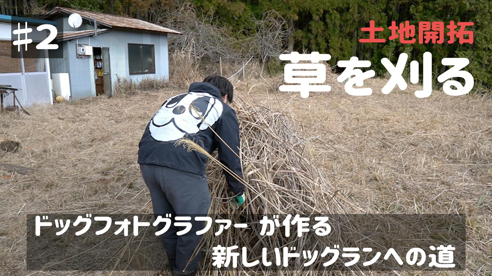 ドッグフォトグラファー がつくる新しいドッグラン 山の中の撮影スタジオ Campfire キャンプファイヤー