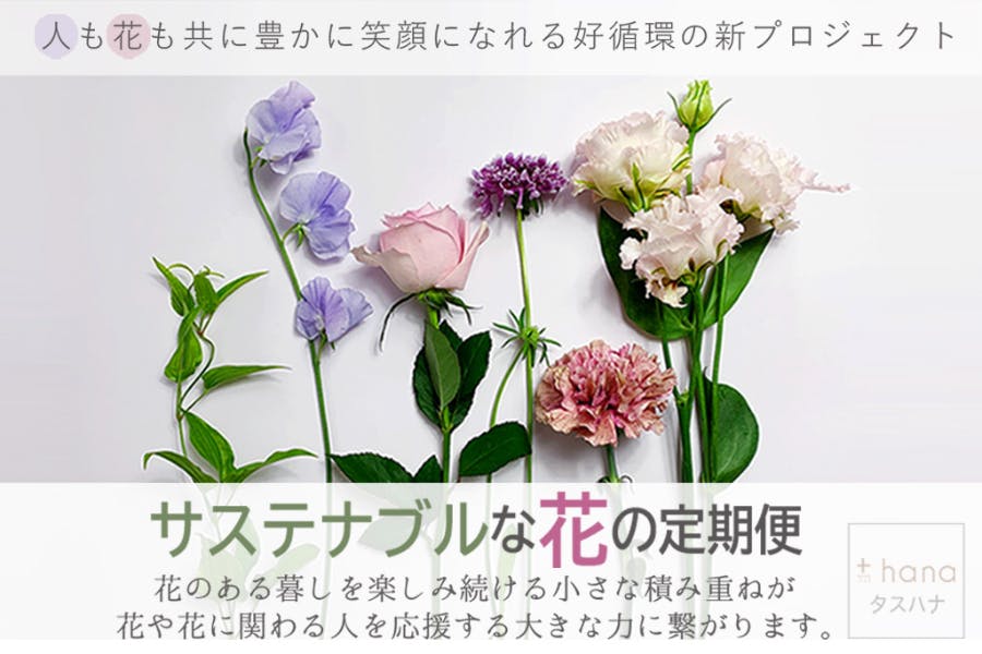 あなたが花を楽しむことで 花も未来も明るくなる 新しい 花のサブスクリプション Campfire キャンプファイヤー