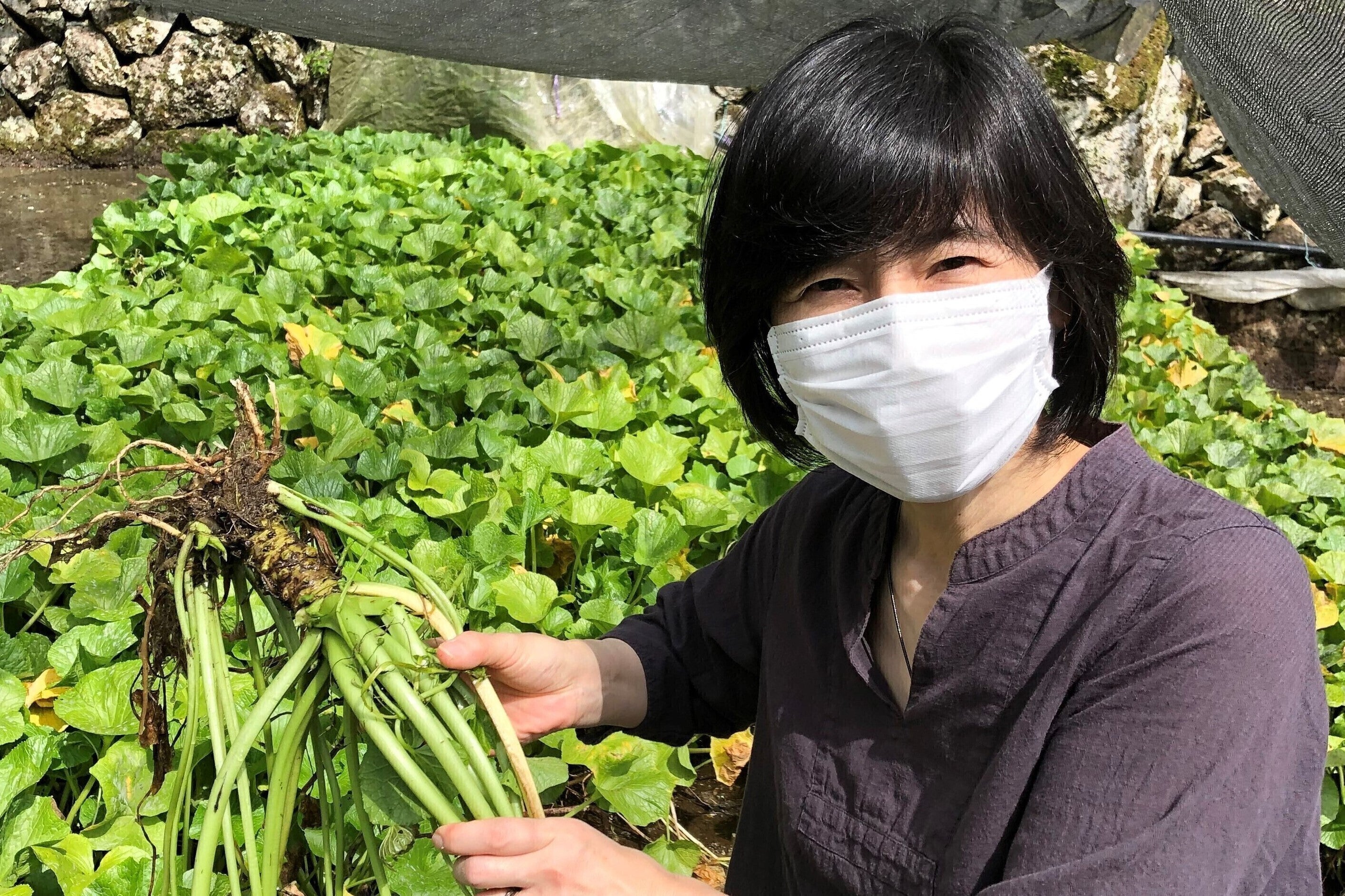 4番目のメイン画像