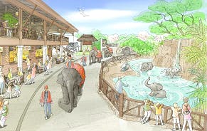 5番目のメイン画像