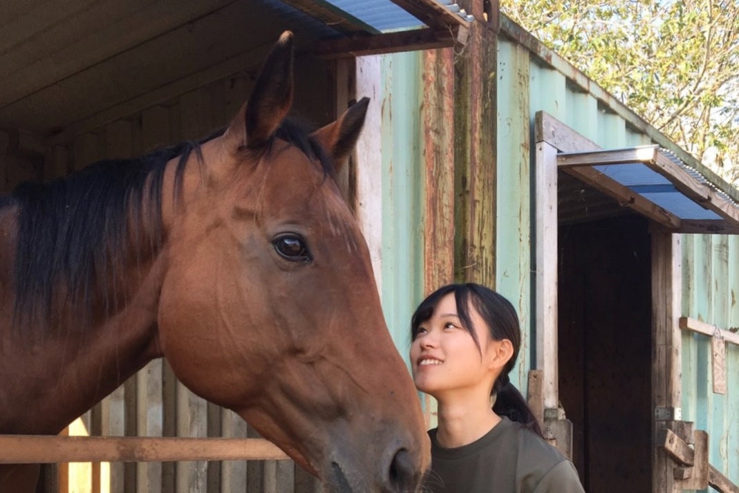 馬tシャツの作成 馬の魅力をもっと広く伝えるために Campfire キャンプファイヤー 馬tシャツの作成 馬の魅力をもっと広く伝えるために Campfire キャンプファイヤー