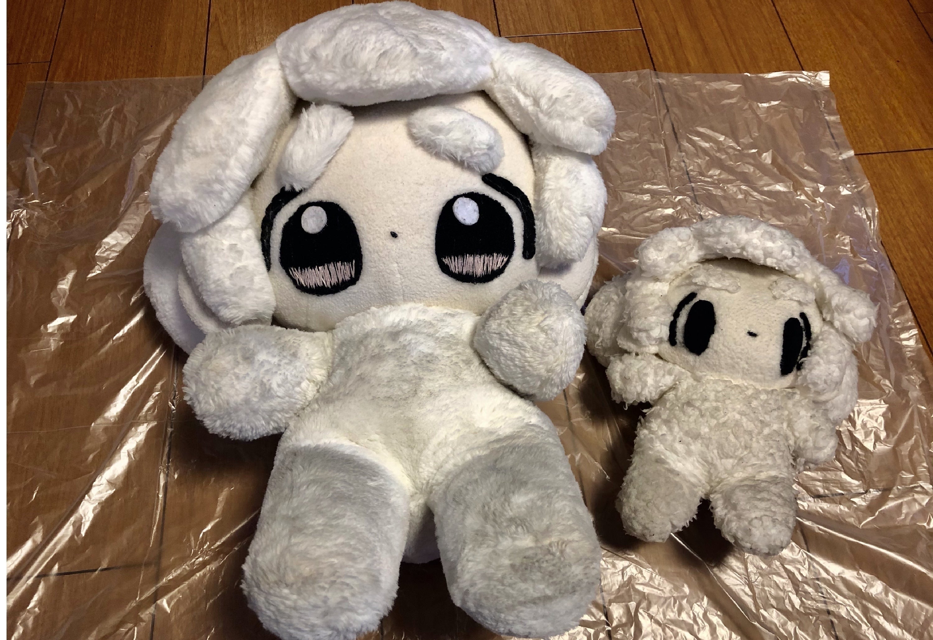 5番目のメイン画像