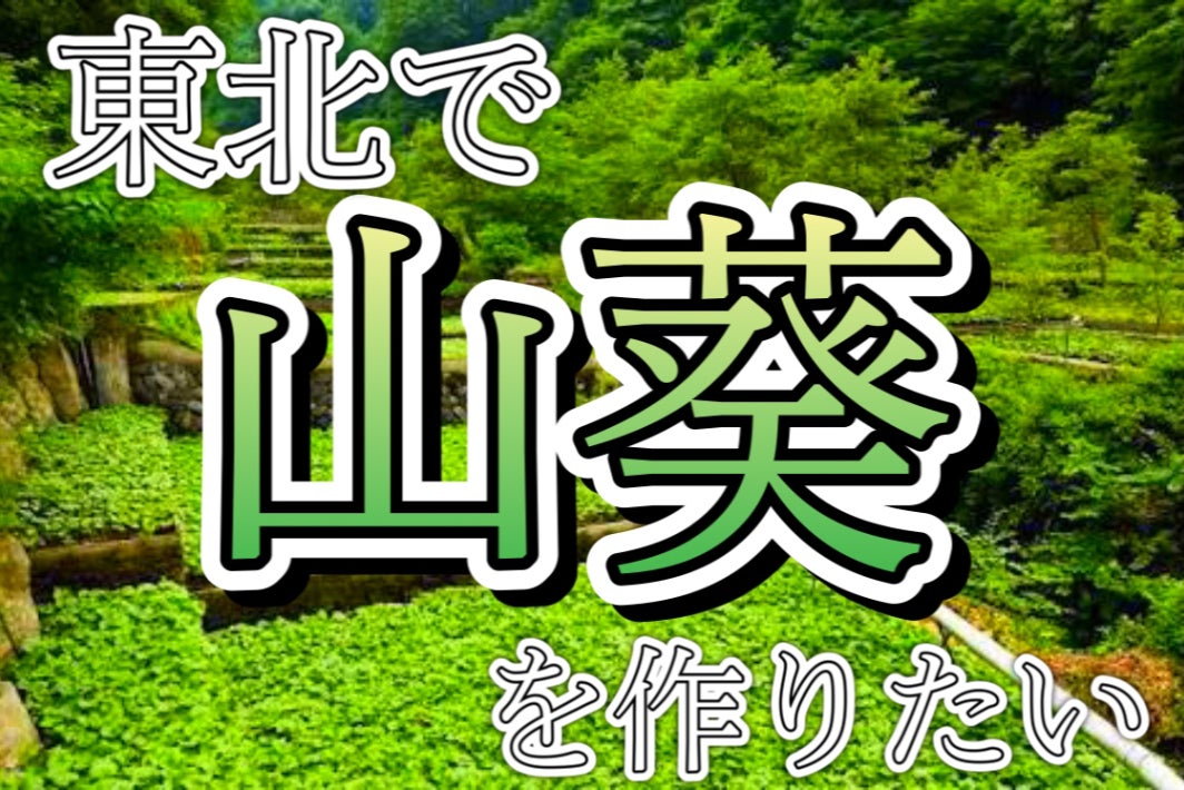 岩手県北の気候 Campfire キャンプファイヤー