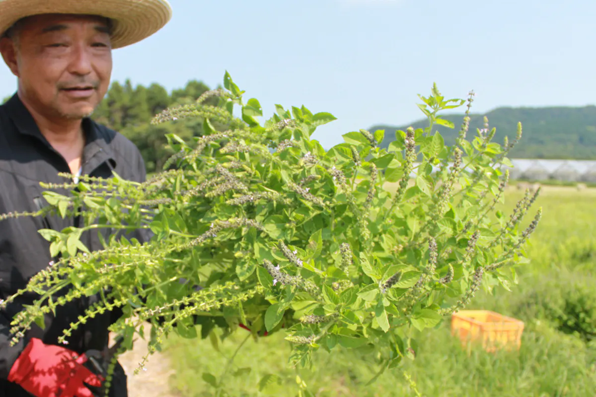 5番目のメイン画像