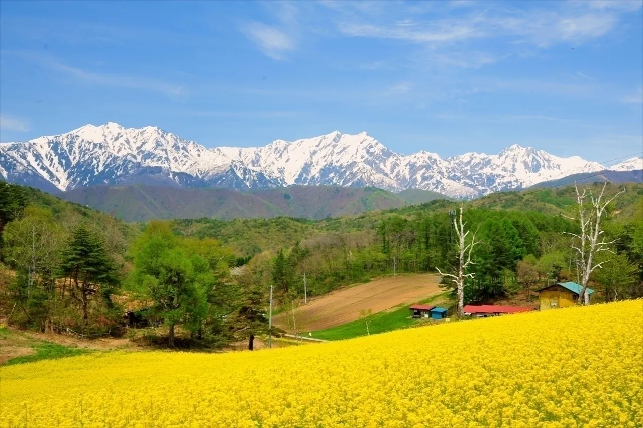 2番目のメイン画像