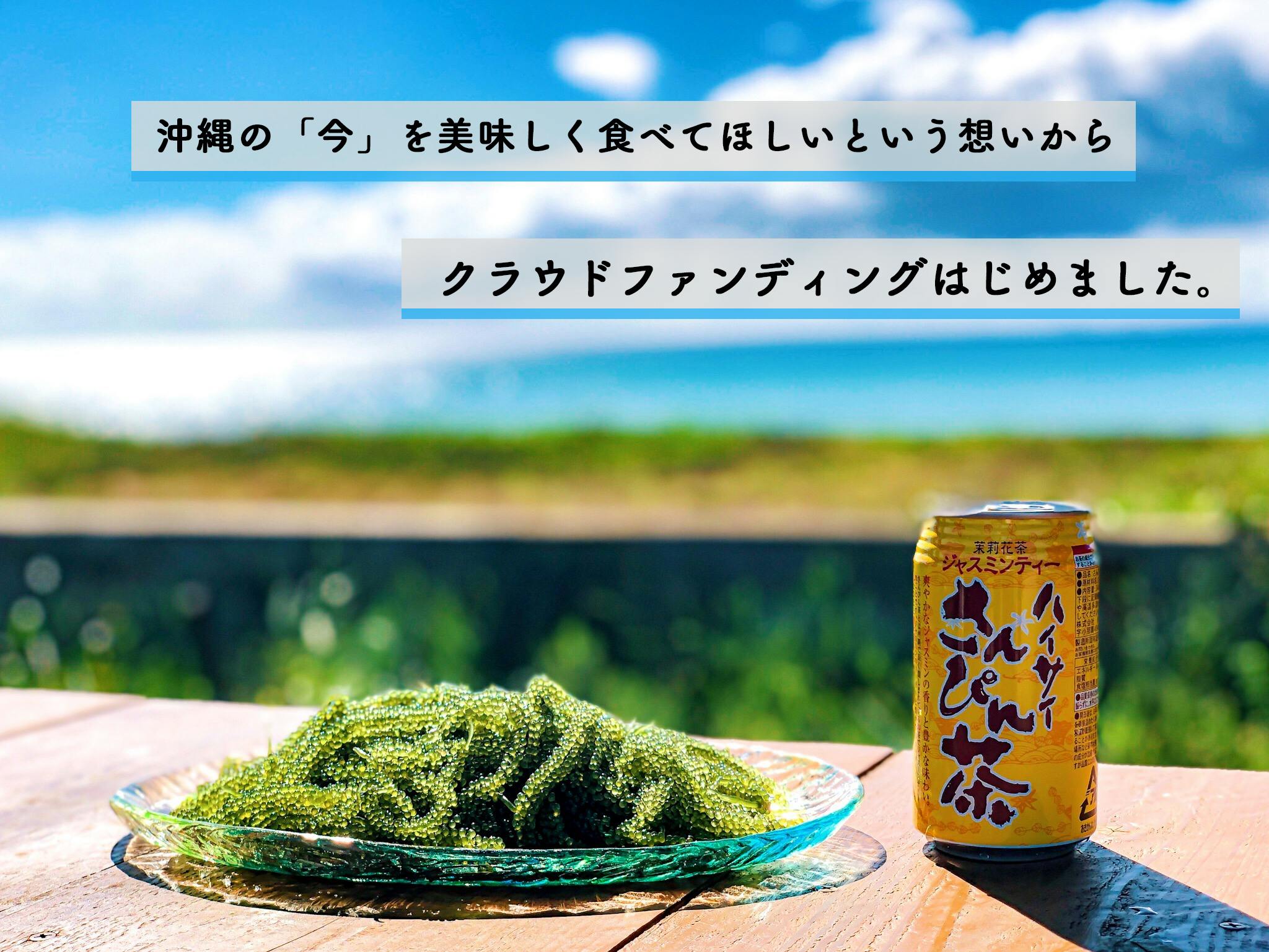 10トンの海ぶどうを廃棄せず届けたい 沖縄の宝を皆様へ Campfire キャンプファイヤー 10トンの海ぶどうを廃棄せず届けたい 沖縄の宝を皆様へ Campfire キャンプファイヤー