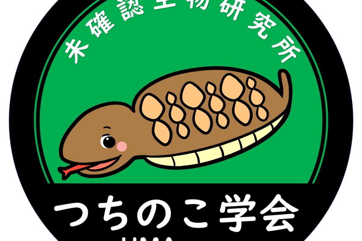 未確認生物 ツチノコ を捕まえる Campfire キャンプファイヤー 未確認生物 ツチノコ を捕まえる Campfire キャンプファイヤー