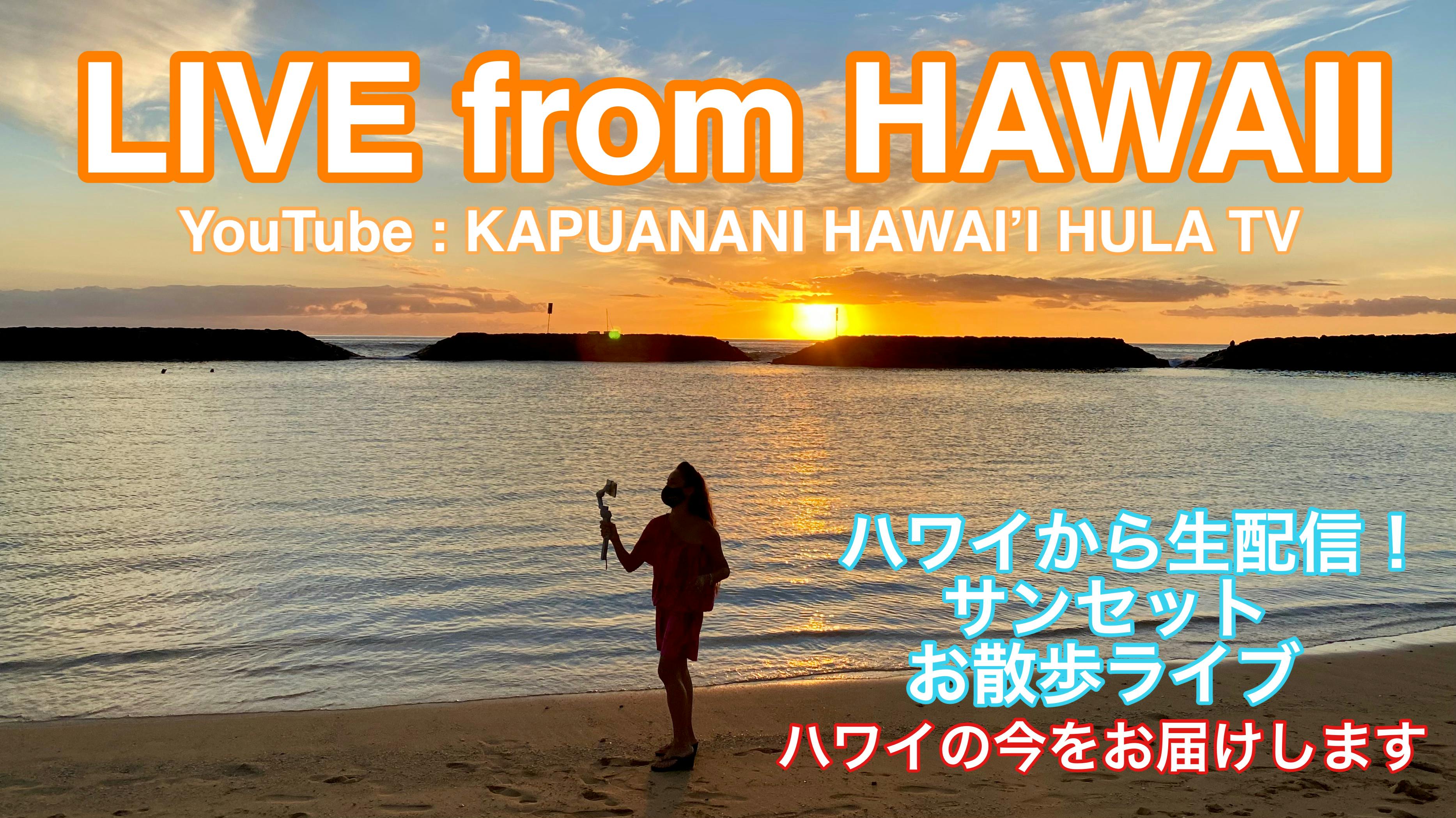 ハワイの今 をタイムリーにお届けしたい ハワイと日本を繋ぐ動画制作プロジェクト Campfire キャンプファイヤー