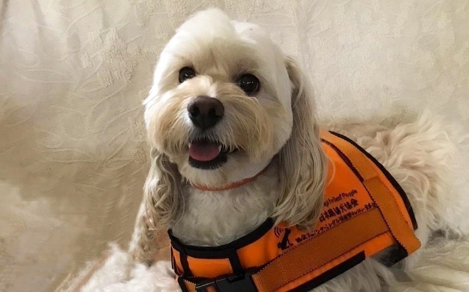 5番目のメイン画像