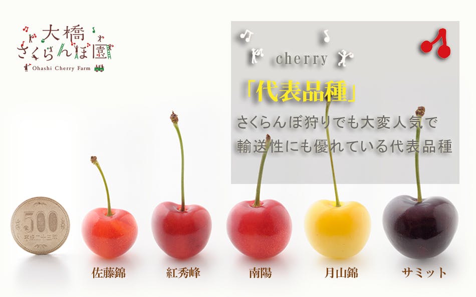 生きた土で作った 黄金のさくらんぼ 至高の味を皆さまに届けたい Campfire キャンプファイヤー 生きた土で作った 黄金のさくらんぼ 至高の味を皆さまに届けたい Campfire キャンプファイヤー