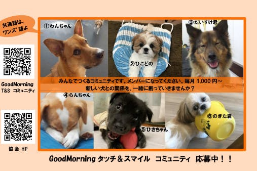 タッチ&スマイル:全国への聴導犬と介助犬育成を、一緒に支えてください