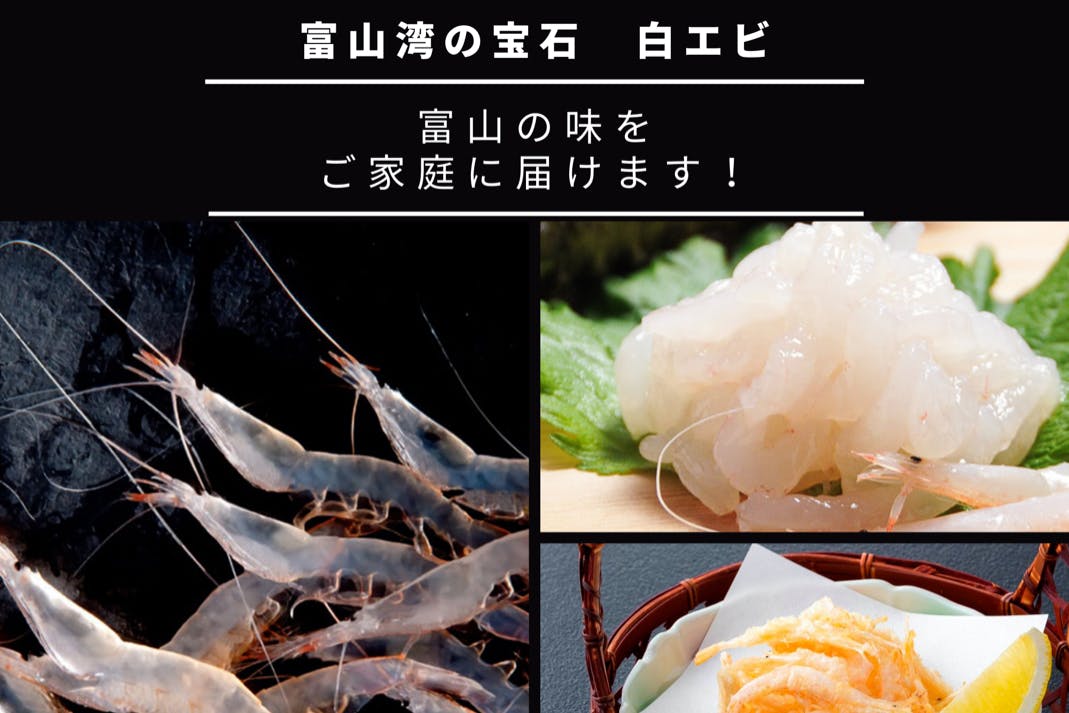 (キャンプファイヤー)　富山の味を全国に！富山の味！白エビをご家庭にお届けます！　CAMPFIRE