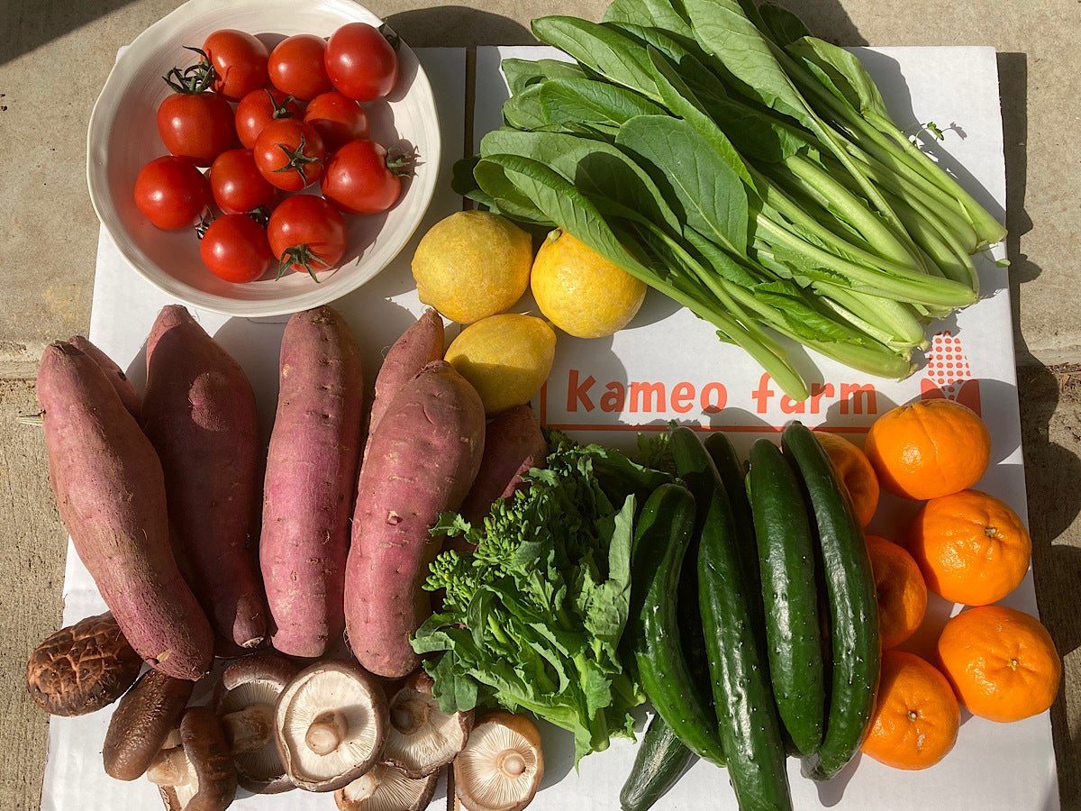 2番目のメイン画像