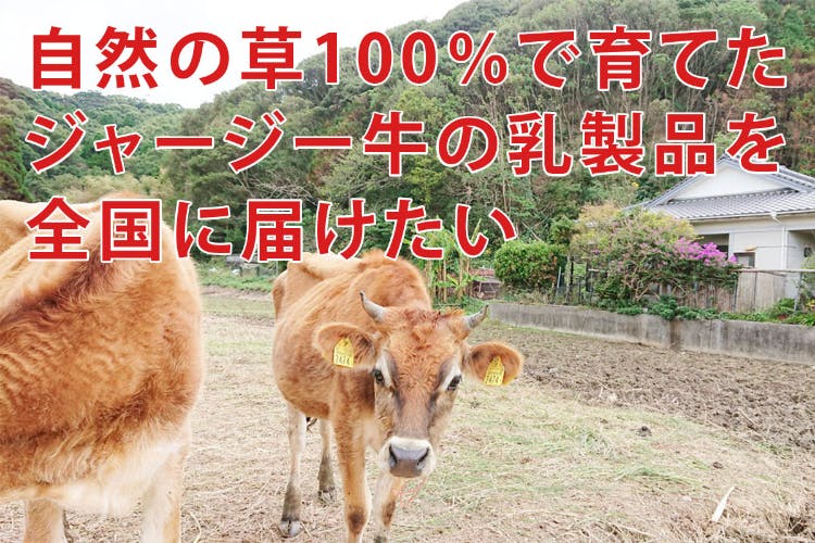 自然の草100 で育てたジャージー牛の乳製品を全国に届け 免疫力でコロナに勝つ Campfire キャンプファイヤー