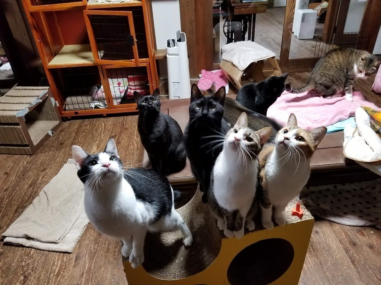 4番目のメイン画像