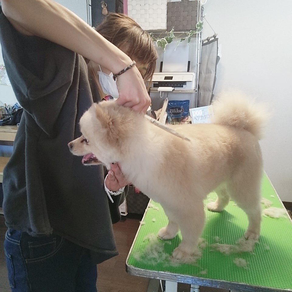 3番目のメイン画像