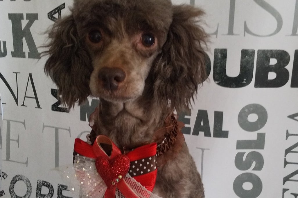 1番目のメイン画像