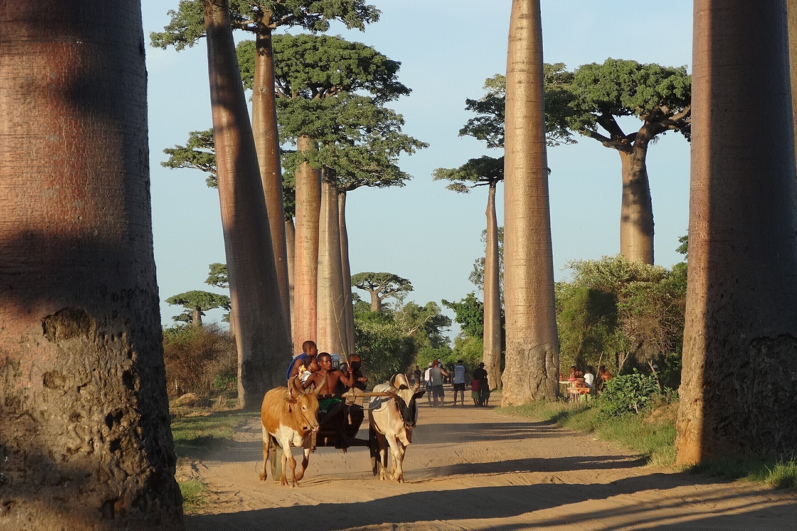 4番目のメイン画像