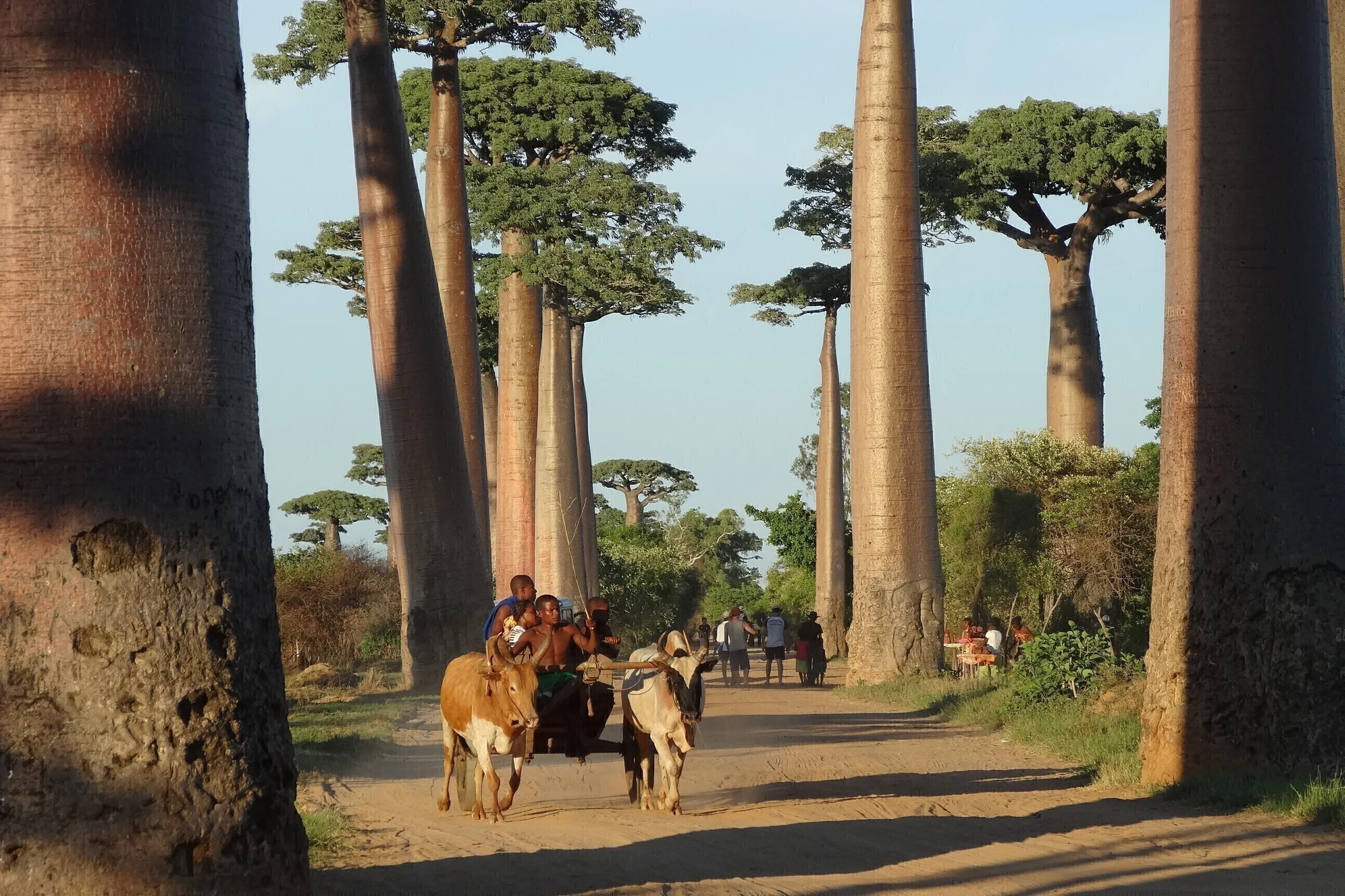 4番目のメイン画像