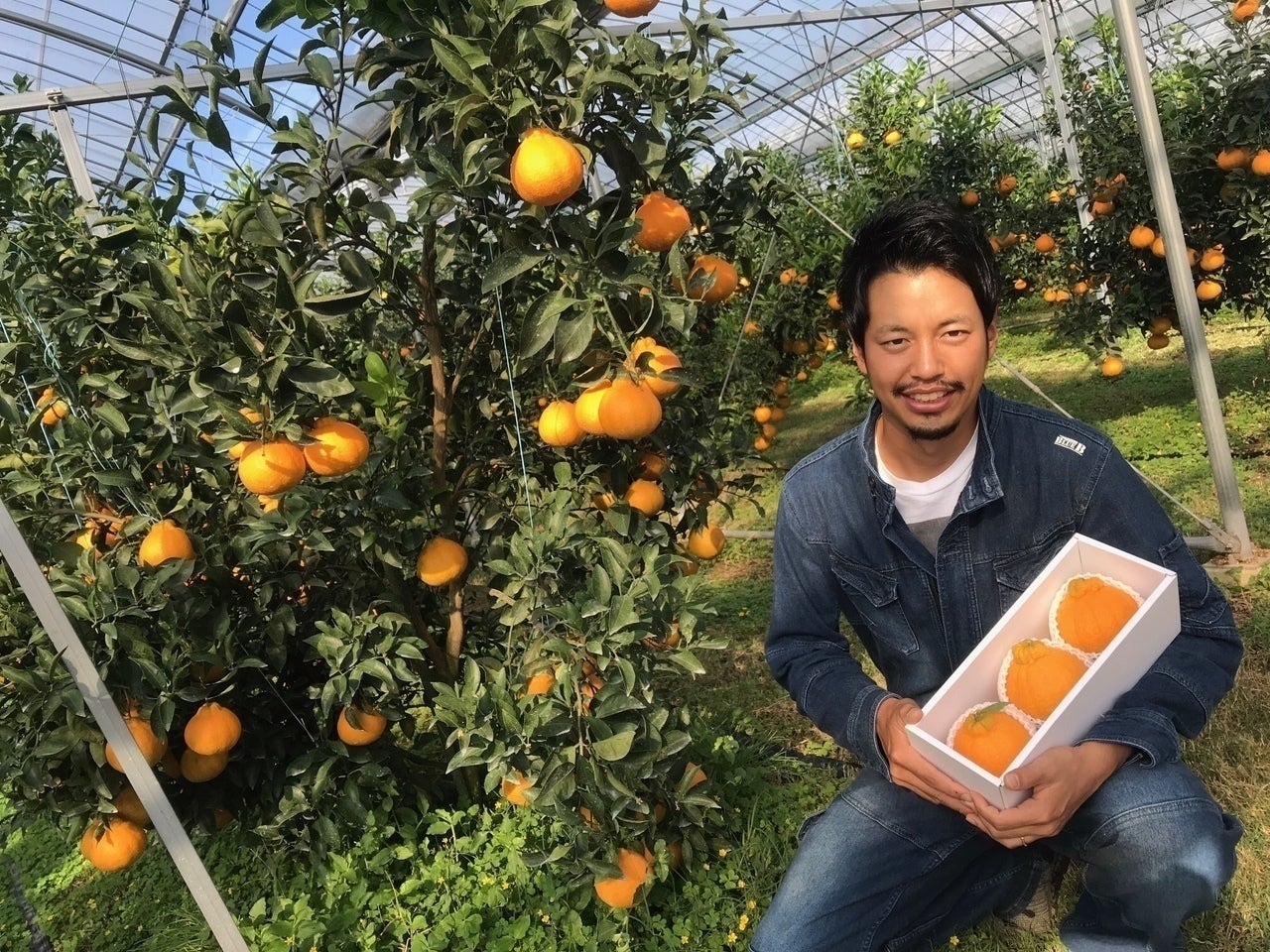 2番目のメイン画像