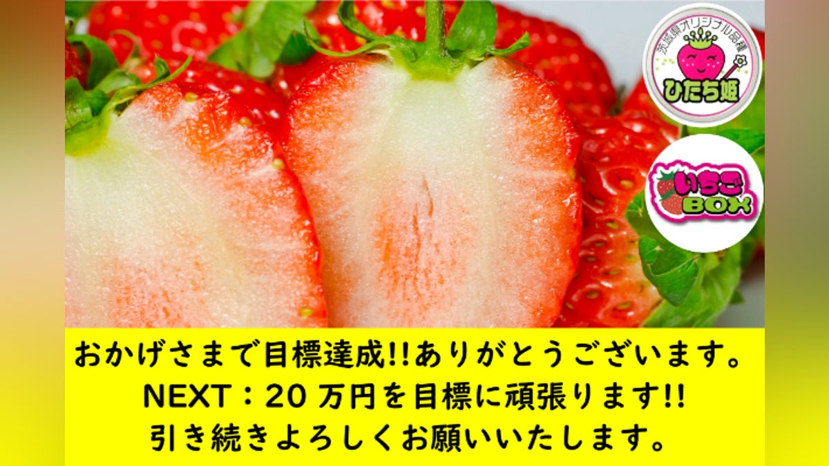 おうち時間で食べて消費してほしい!茨城オリジナルいちご「ひたち姫 おうち時間で食べて消費してほしい!茨城オリジナルいちご「ひたち姫
