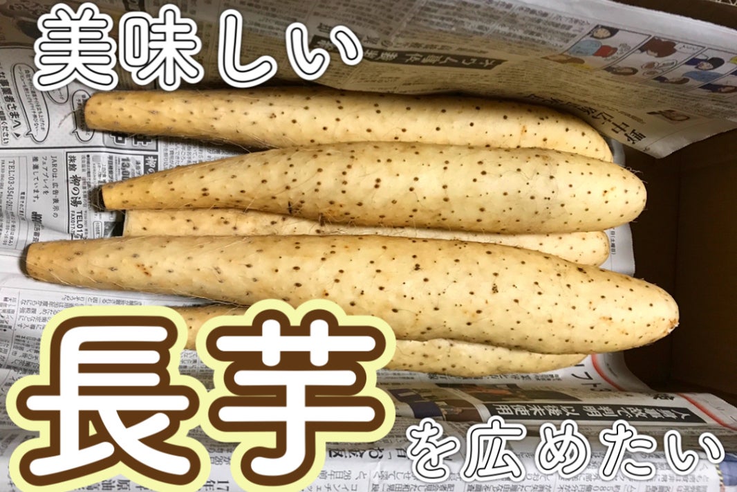 長芋はスーパーフード Campfire キャンプファイヤー