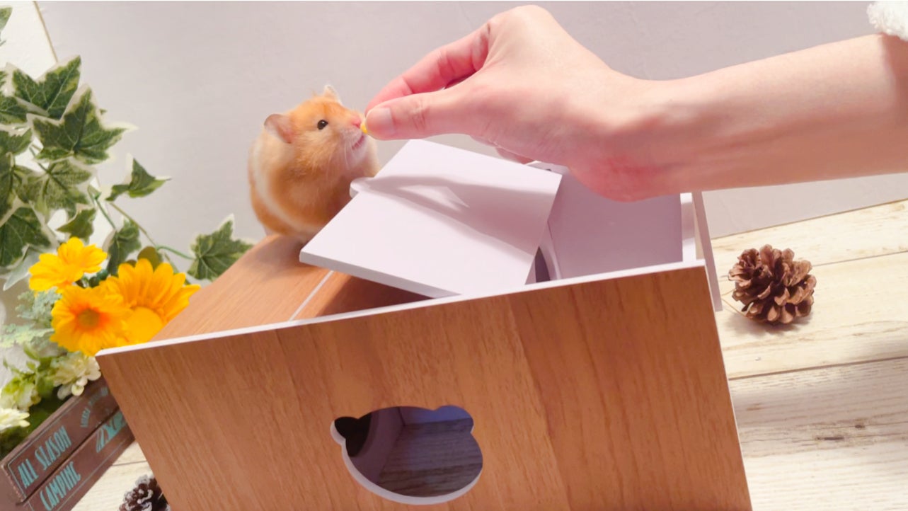 5番目のメイン画像