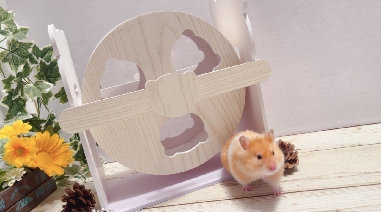 3番目のメイン画像