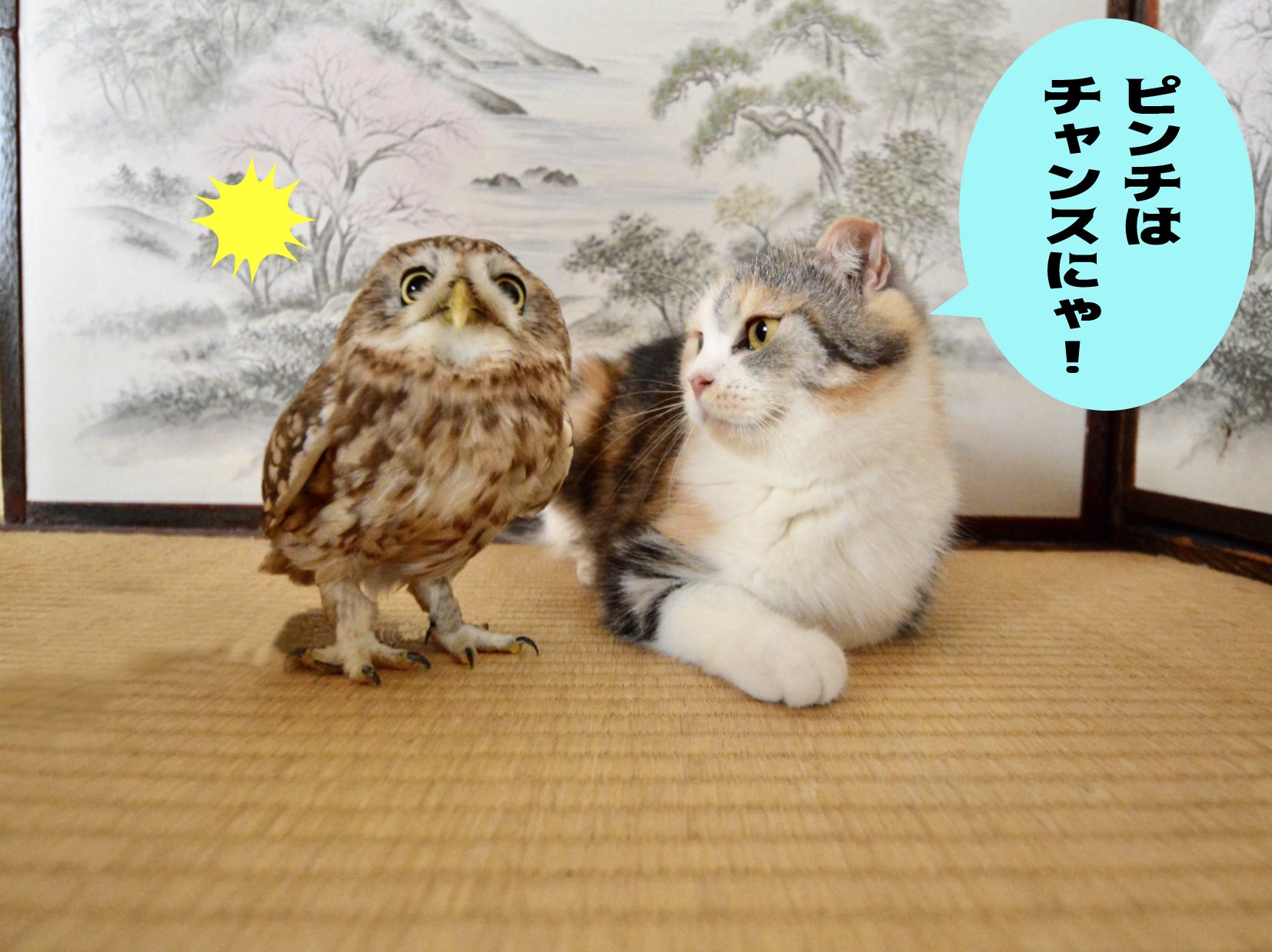 2番目のメイン画像