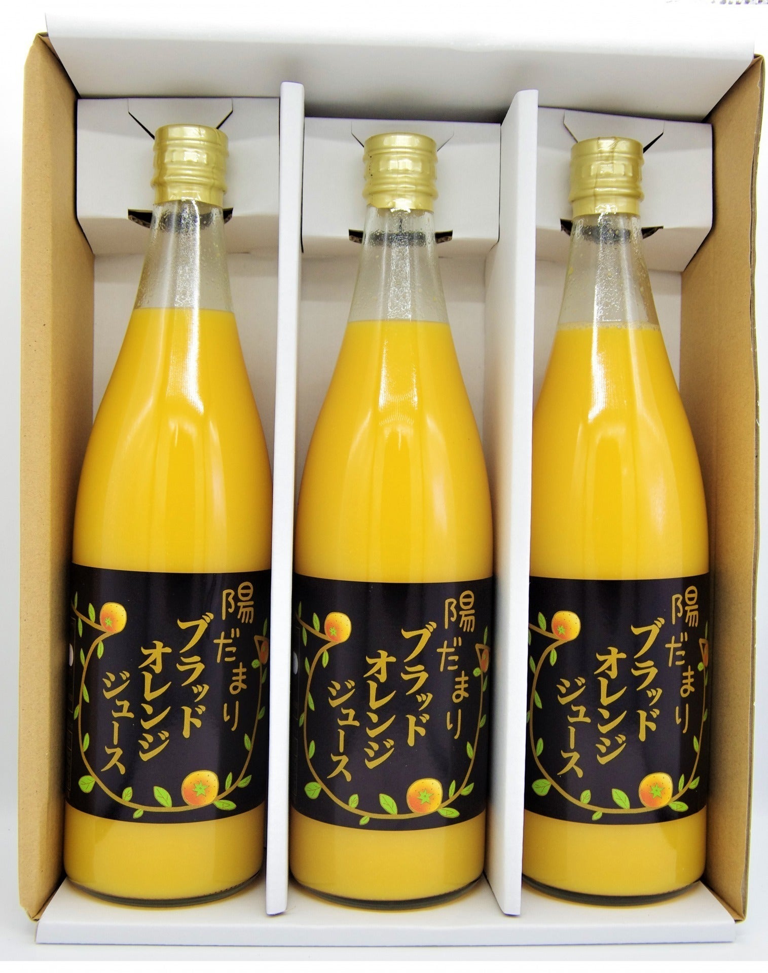 大寒波に負けるな！三ヶ日の国産ブラッドオレンジを知ってもらいたい