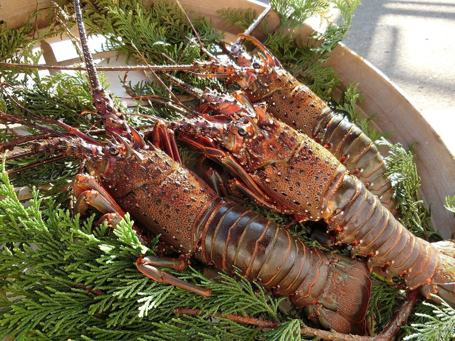 2番目のメイン画像