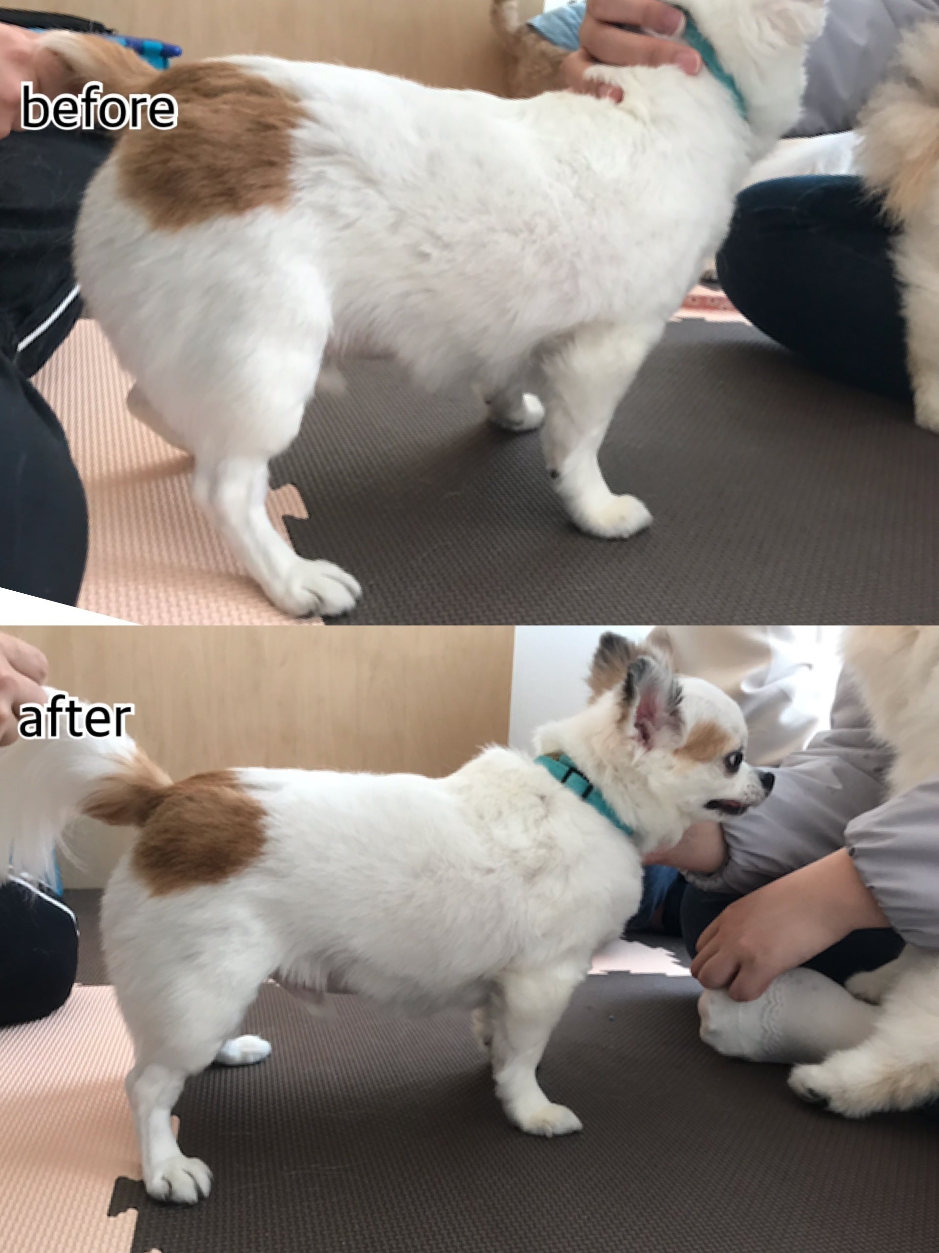 4番目のメイン画像